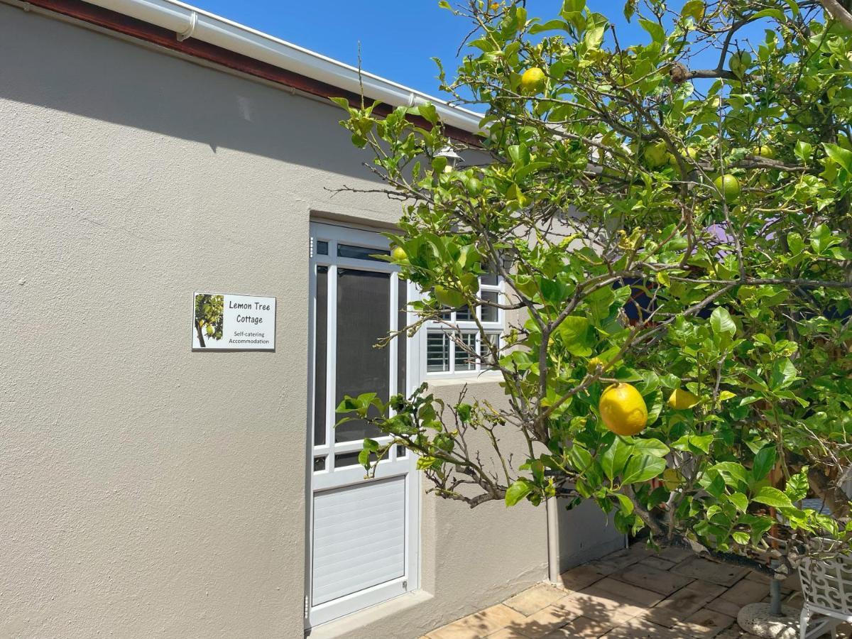 Lemon Tree Cottage Edgemead Экстерьер фото